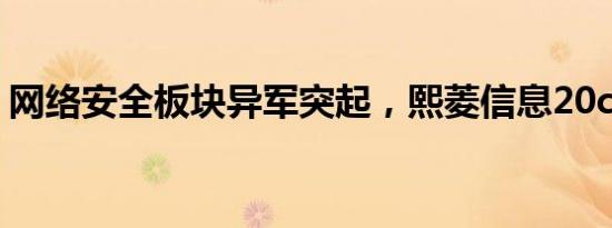 网络安全板块异军突起，熙菱信息20cm涨停