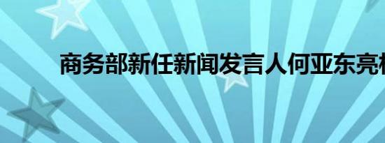 商务部新任新闻发言人何亚东亮相