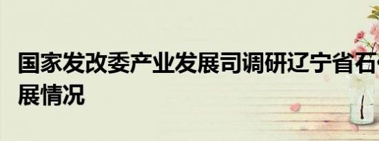 国家发改委产业发展司调研辽宁省石化产业发展情况