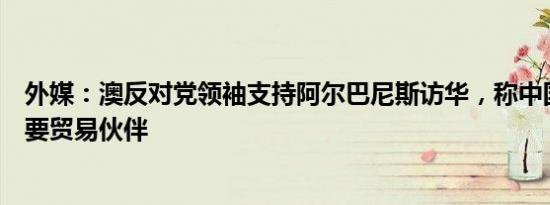 外媒：澳反对党领袖支持阿尔巴尼斯访华，称中国是非常重要贸易伙伴