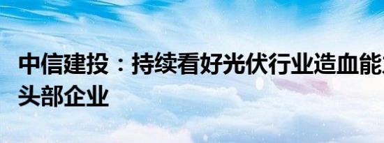 中信建投：持续看好光伏行业造血能力更强的头部企业