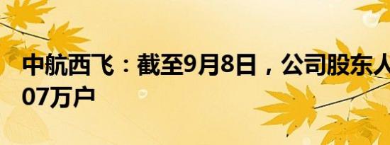 中航西飞：截至9月8日，公司股东人数为16.07万户