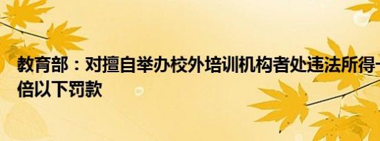 教育部：对擅自举办校外培训机构者处违法所得一倍以上五倍以下罚款