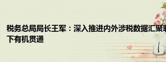 税务总局局长王军：深入推进内外涉税数据汇聚联通 线上线下有机贯通