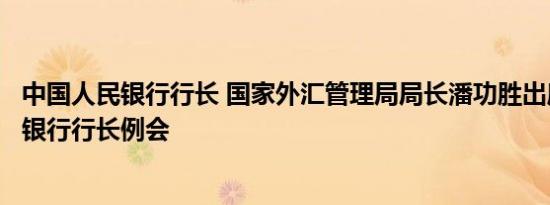 中国人民银行行长 国家外汇管理局局长潘功胜出席国际清算银行行长例会