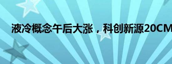 液冷概念午后大涨，科创新源20CM涨停