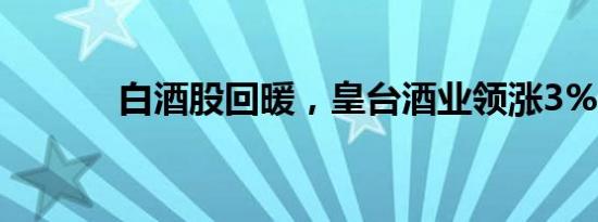 白酒股回暖，皇台酒业领涨3%