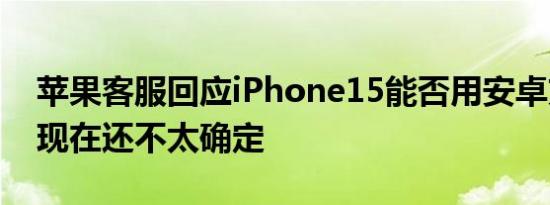 苹果客服回应iPhone15能否用安卓充电线：现在还不太确定