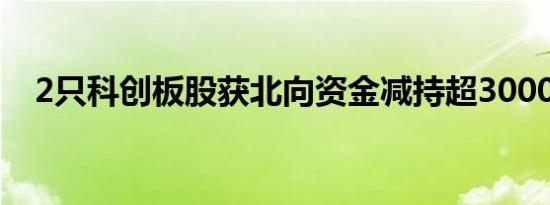 2只科创板股获北向资金减持超3000万元