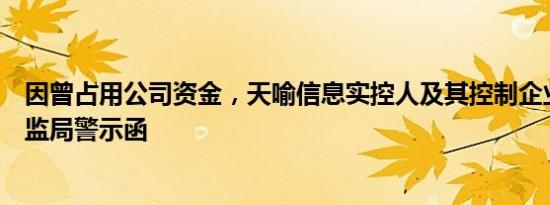 因曾占用公司资金，天喻信息实控人及其控制企业收湖北证监局警示函