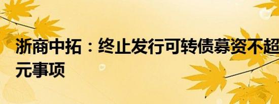 浙商中拓：终止发行可转债募资不超10.38亿元事项