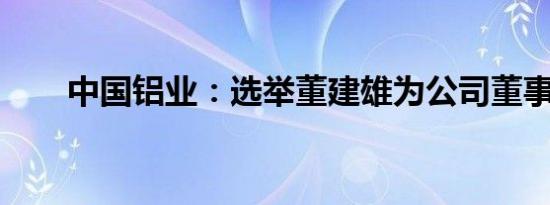 中国铝业：选举董建雄为公司董事长