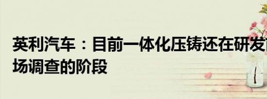 英利汽车：目前一体化压铸还在研发前期与市场调查的阶段