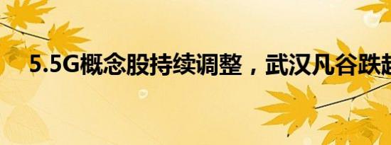 5.5G概念股持续调整，武汉凡谷跌超6%