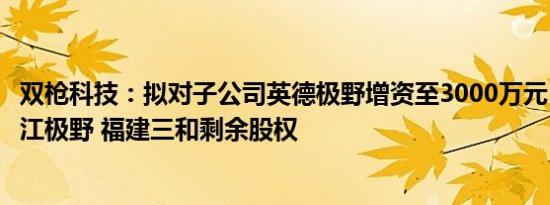 双枪科技：拟对子公司英德极野增资至3000万元，并收购桃江极野 福建三和剩余股权