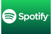 Redditor在应用程序代码中挖掘了SpotifySupremiumHiFi计划的详细信息