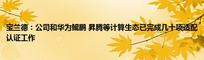 宝兰德：公司和华为鲲鹏 昇腾等计算生态已完成几十项适配认证工作