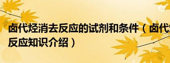 卤代烃消去反应的试剂和条件（卤代烃的消去反应知识介绍）