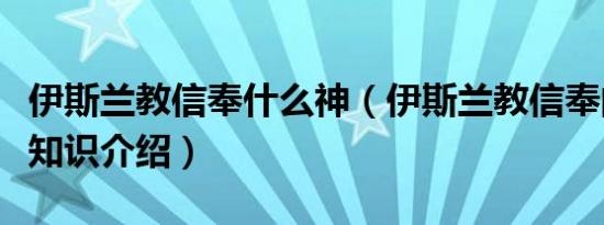 伊斯兰教信奉什么神（伊斯兰教信奉的神是谁知识介绍）