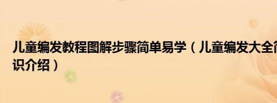 儿童编发教程图解步骤简单易学（儿童编发大全简单漂亮知识介绍）