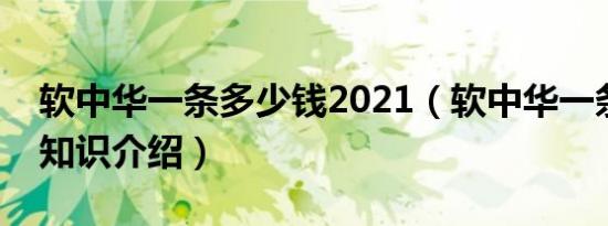 软中华一条多少钱2021（软中华一条多少钱知识介绍）