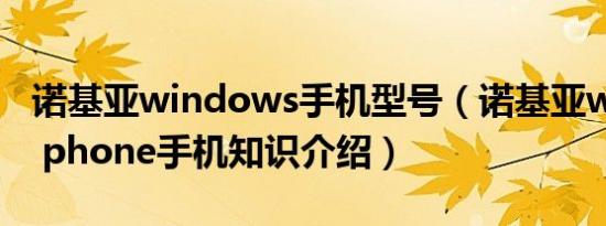 诺基亚windows手机型号（诺基亚windows phone手机知识介绍）