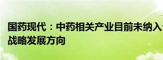 国药现代：中药相关产业目前未纳入公司重点战略发展方向