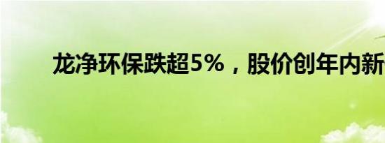 龙净环保跌超5%，股价创年内新低