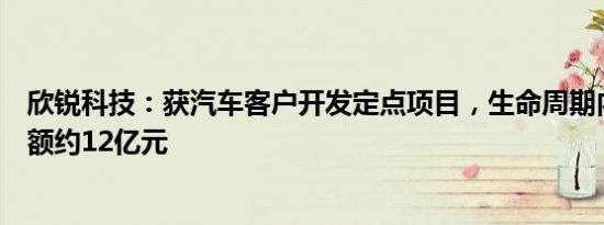 欣锐科技：获汽车客户开发定点项目，生命周期内销售总金额约12亿元