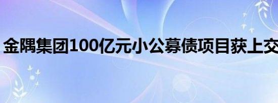 金隅集团100亿元小公募债项目获上交所受理