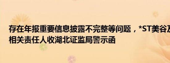 存在年报重要信息披露不完整等问题，*ST美谷及董事长等相关责任人收湖北证监局警示函