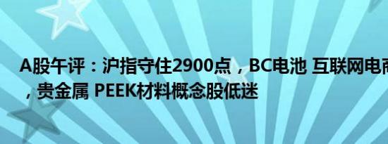 A股午评：沪指守住2900点，BC电池 互联网电商板块领涨，贵金属 PEEK材料概念股低迷