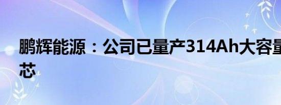 鹏辉能源：公司已量产314Ah大容量储能电芯