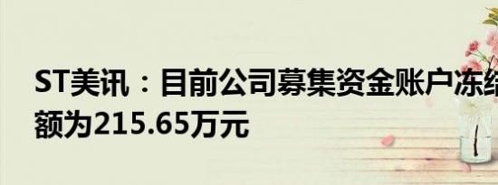 ST美讯：目前公司募集资金账户冻结保全金额为215.65万元