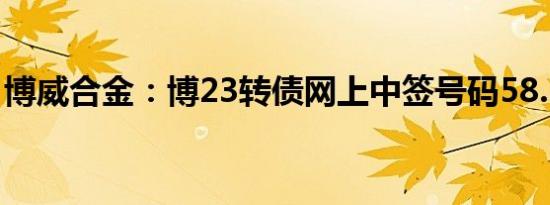 博威合金：博23转债网上中签号码58.17万个