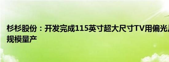 杉杉股份：开发完成115英寸超大尺寸TV用偏光片并实现大规模量产