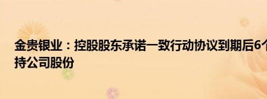 金贵银业：控股股东承诺一致行动协议到期后6个月内不减持公司股份