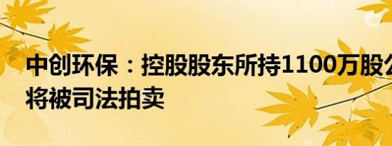 中创环保：控股股东所持1100万股公司股票将被司法拍卖