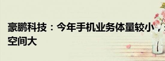 豪鹏科技：今年手机业务体量较小，未来成长空间大