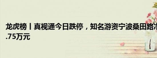 龙虎榜丨真视通今日跌停，知名游资宁波桑田路净卖出1306.75万元