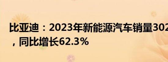 比亚迪：2023年新能源汽车销量302.44万辆，同比增长62.3%