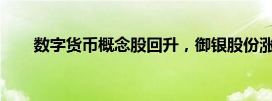 数字货币概念股回升，御银股份涨停