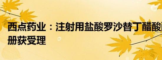 西点药业：注射用盐酸罗沙替丁醋酸酯药品注册获受理