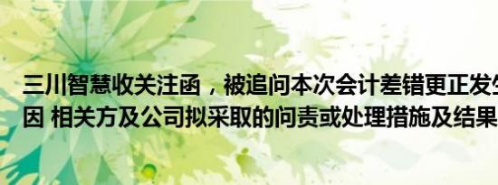 三川智慧收关注函，被追问本次会计差错更正发生的具体原因 相关方及公司拟采取的问责或处理措施及结果