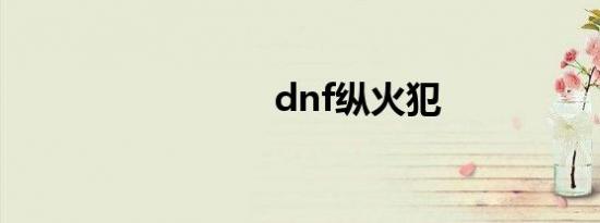 dnf纵火犯