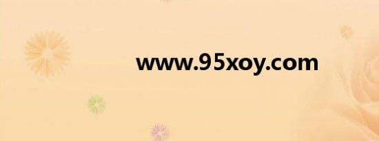 www.95xoy.com