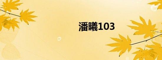 潘曦103