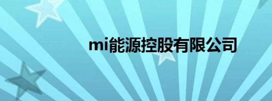 mi能源控股有限公司