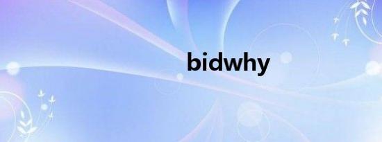 bidwhy