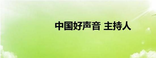 中国好声音 主持人